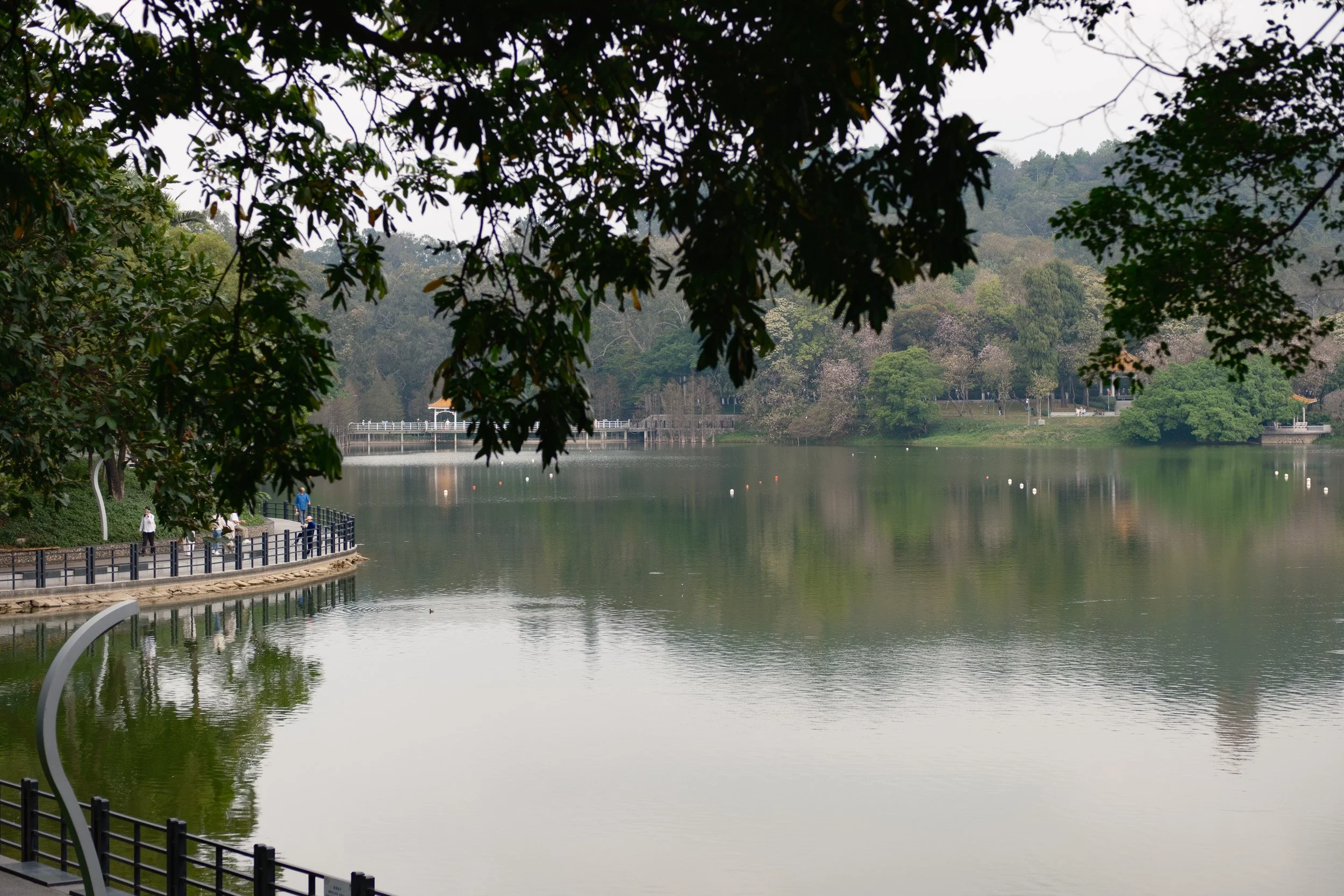 guangzhou-2026-1.jpg