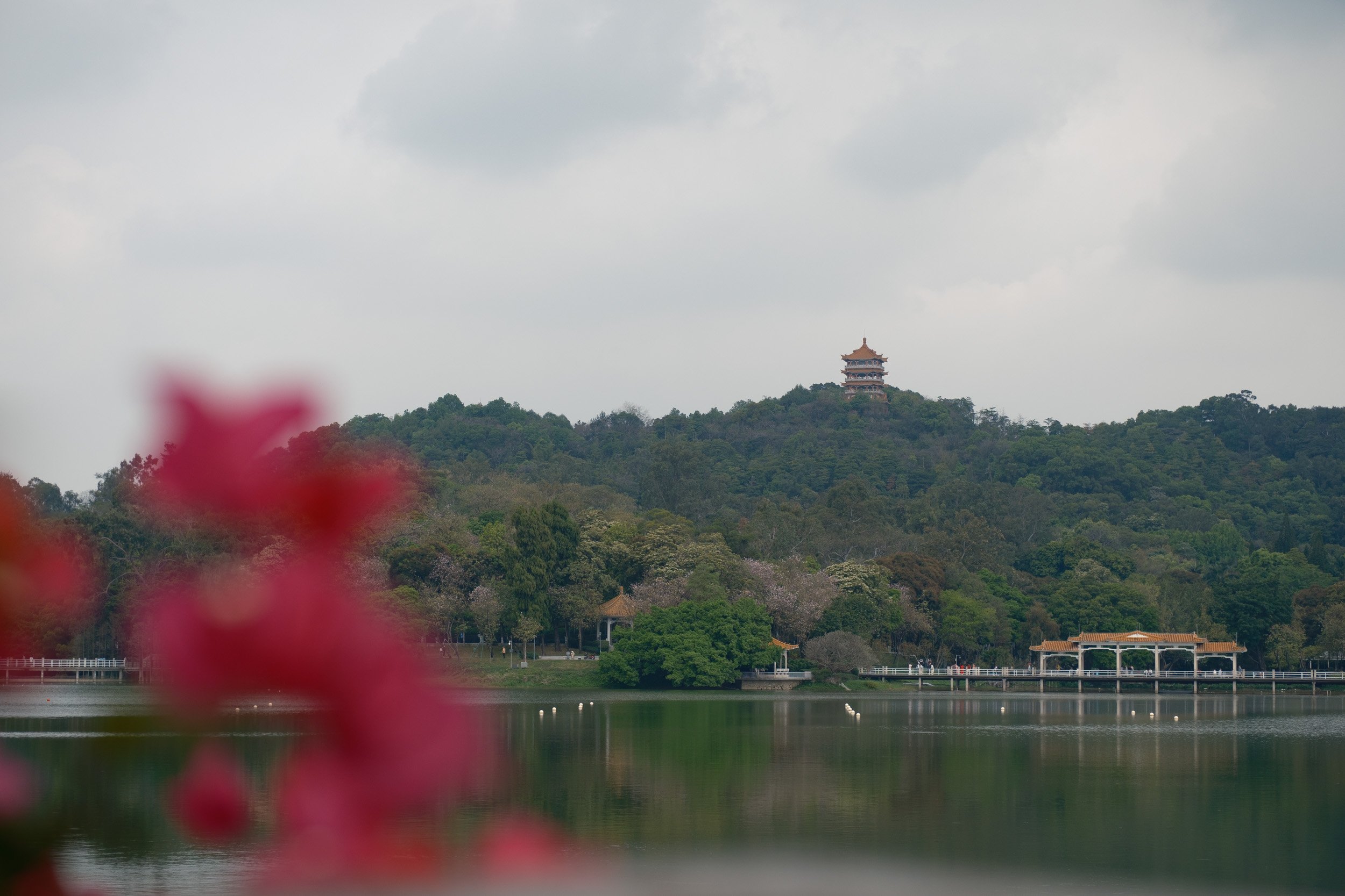 guangzhou-2026-3.jpg