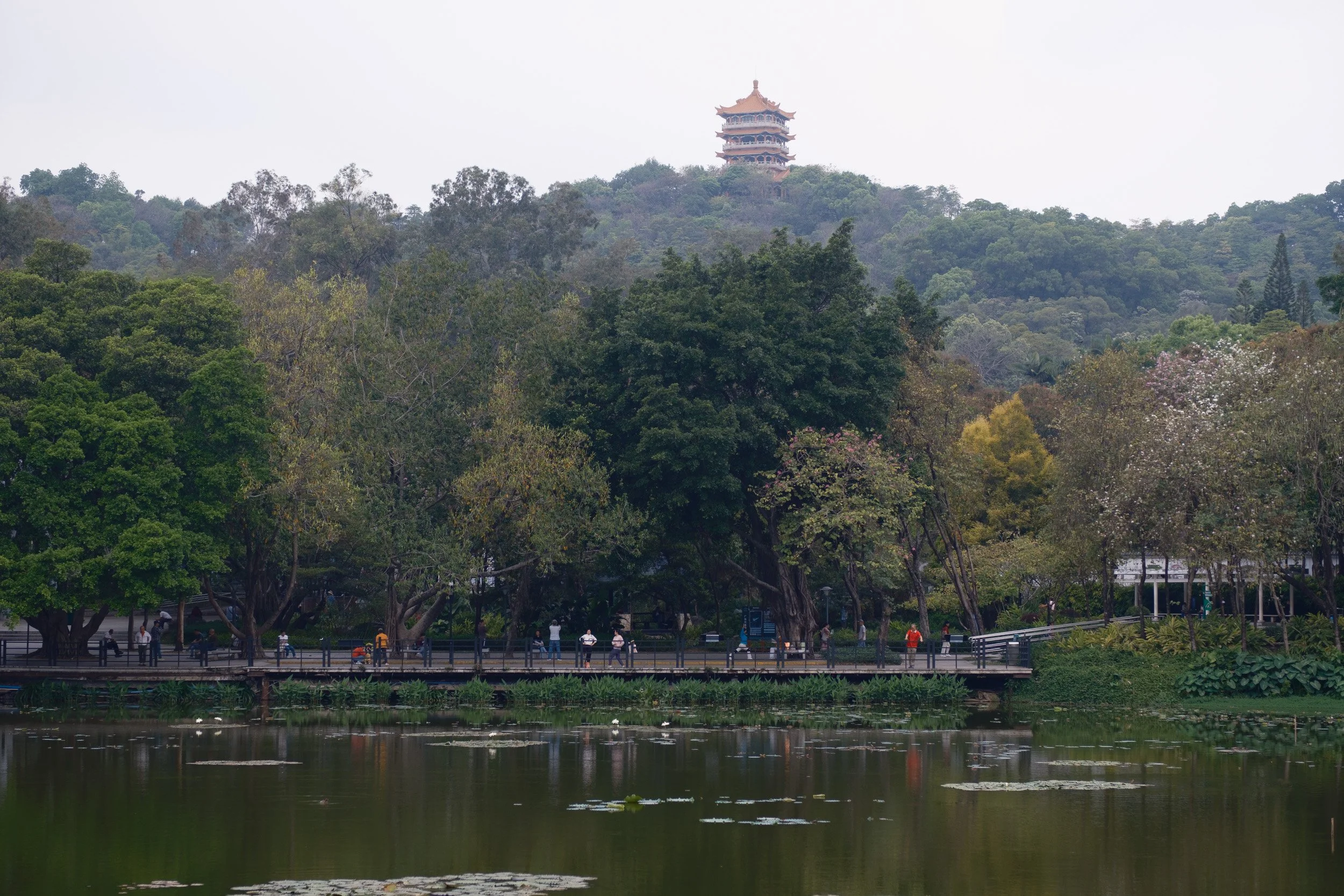 guangzhou-2026-23.jpg