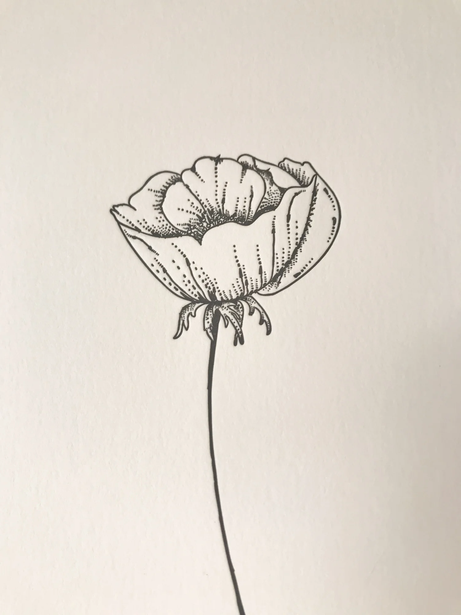 Letterpress Print of Poppy