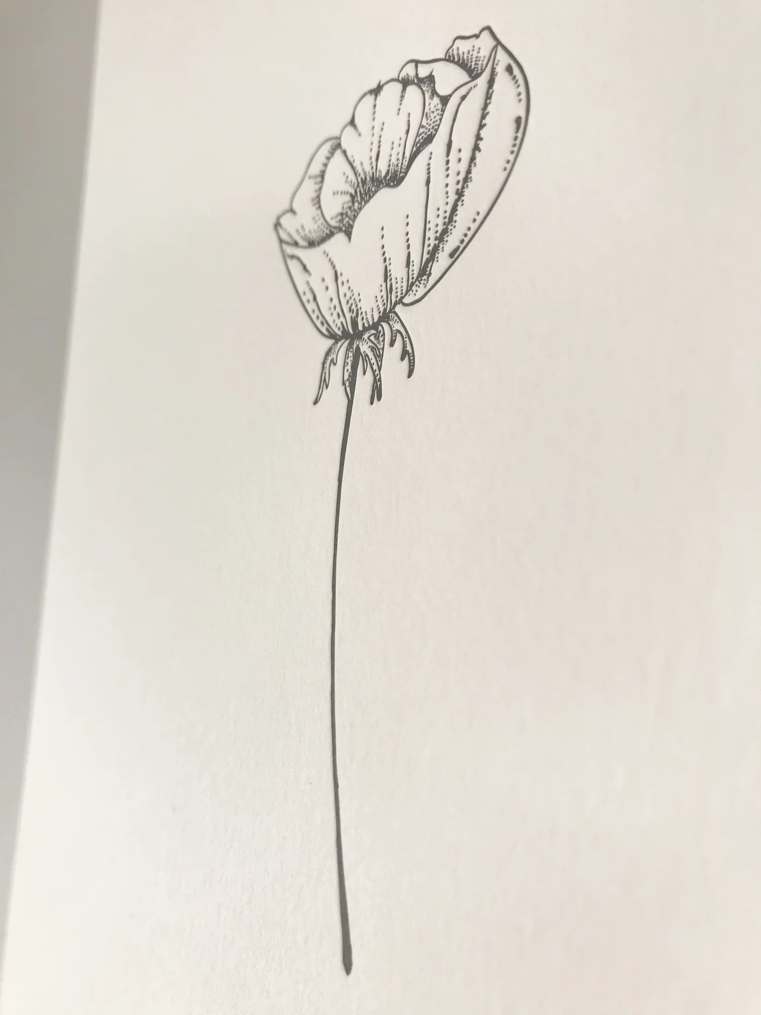Letterpress Print of Poppy