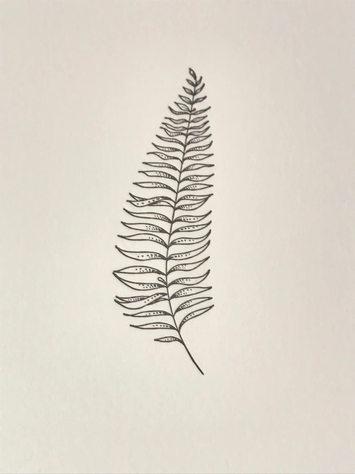 fern_print-2.jpg