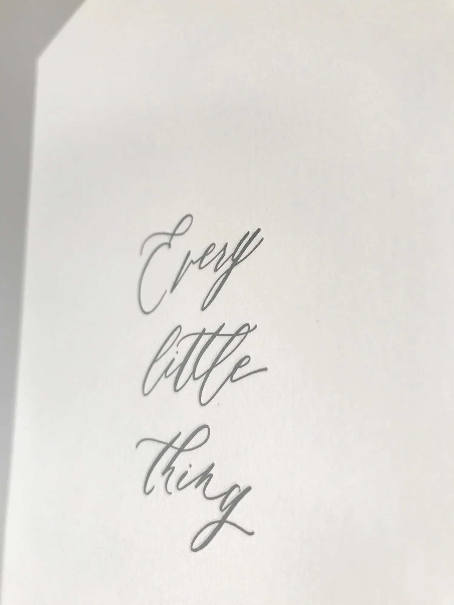 every little thing_print-3.jpg