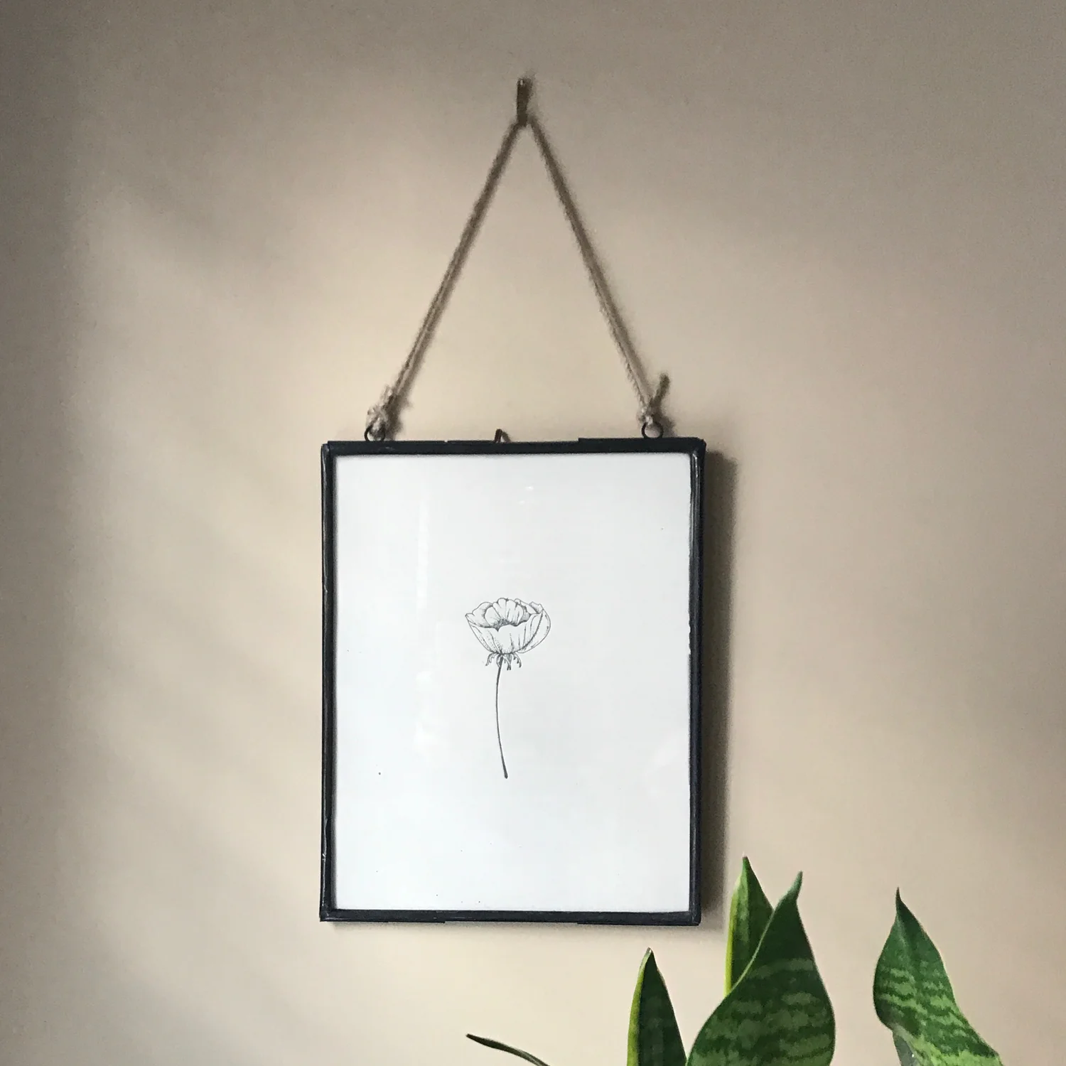 frame - poppy-1-3.jpg