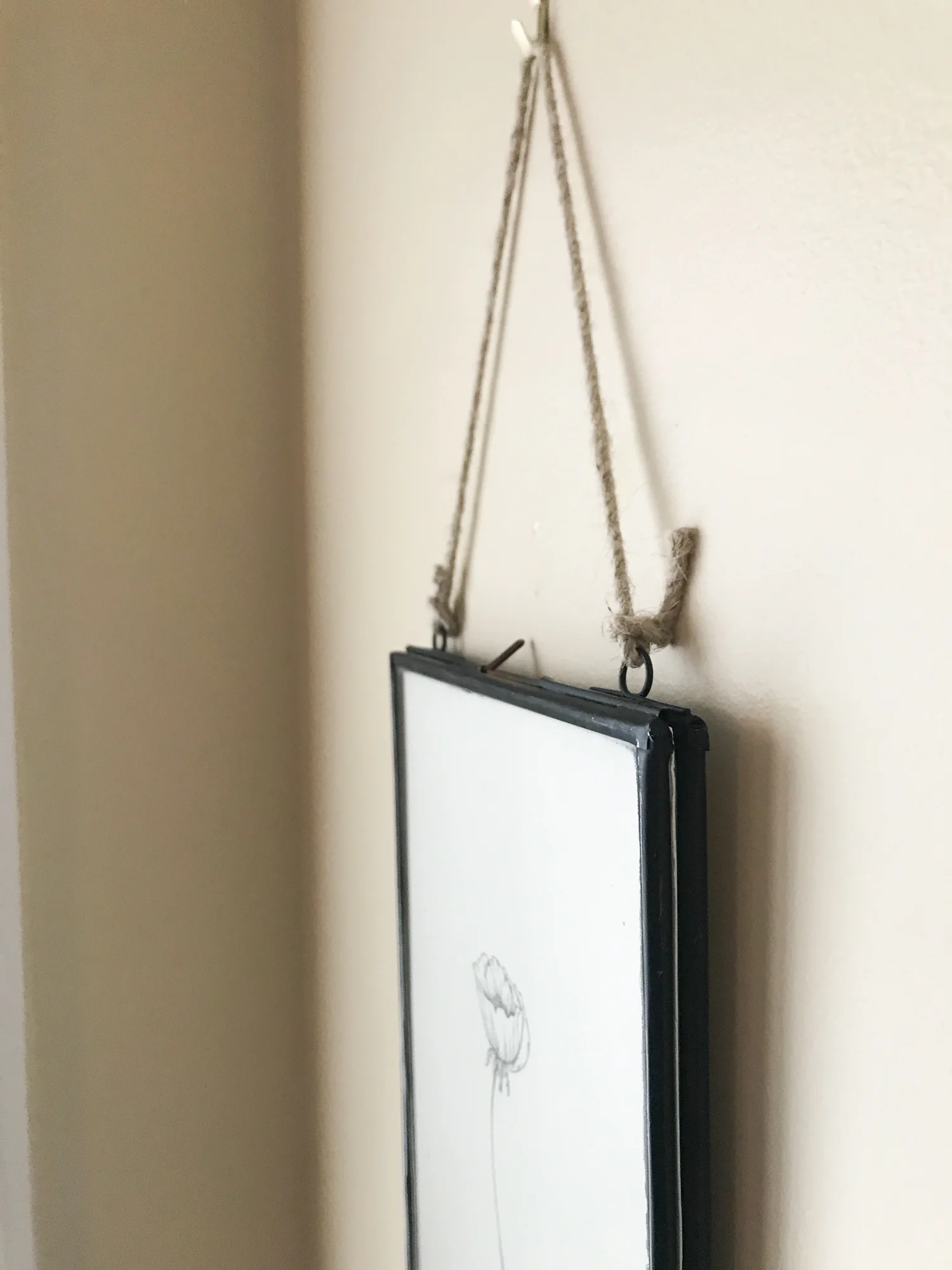 frame - poppy-1-2.jpg