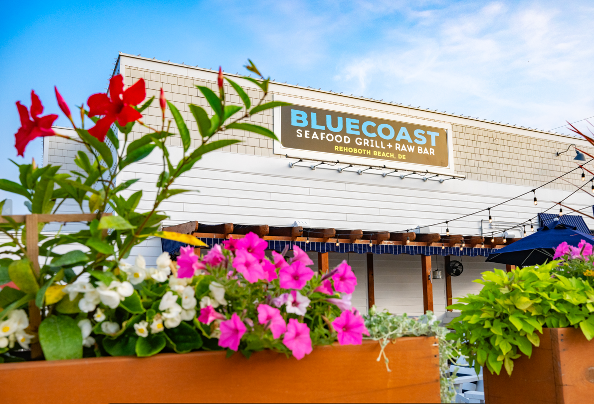 Seafood Restaurant in Lewes, DE