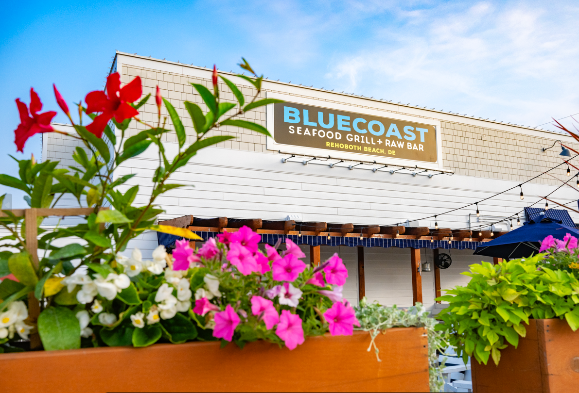 Bluecoast Seafood Grill & Raw Bar Rehoboth