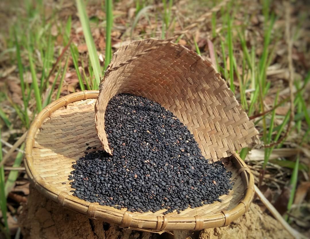 Black sesame seeds are a rich source of antioxidants that can protect the body against oxidative stress. Its oil also helps with painful bones caused by underlying conditions or injury by kickstarting cellular repair and recovery.

Available at www.a