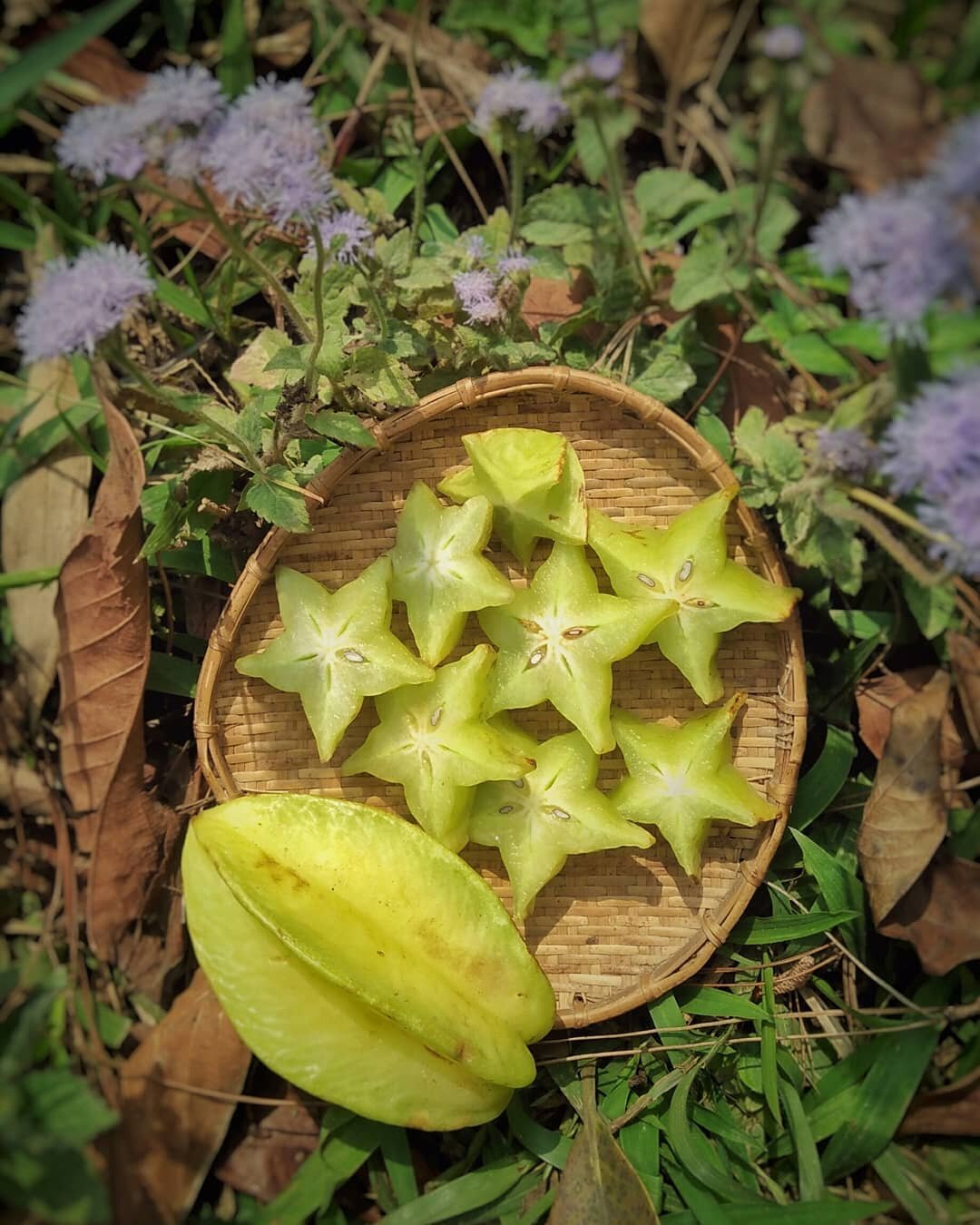 Star fruit &mdash; or carambola &mdash; is a sweet and sour&nbsp;fruit that has the shape of a five-point star. It is low in calories and high in Vitamin C.
