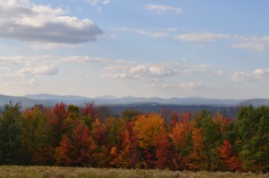 IMG_1057-300x199.jpg