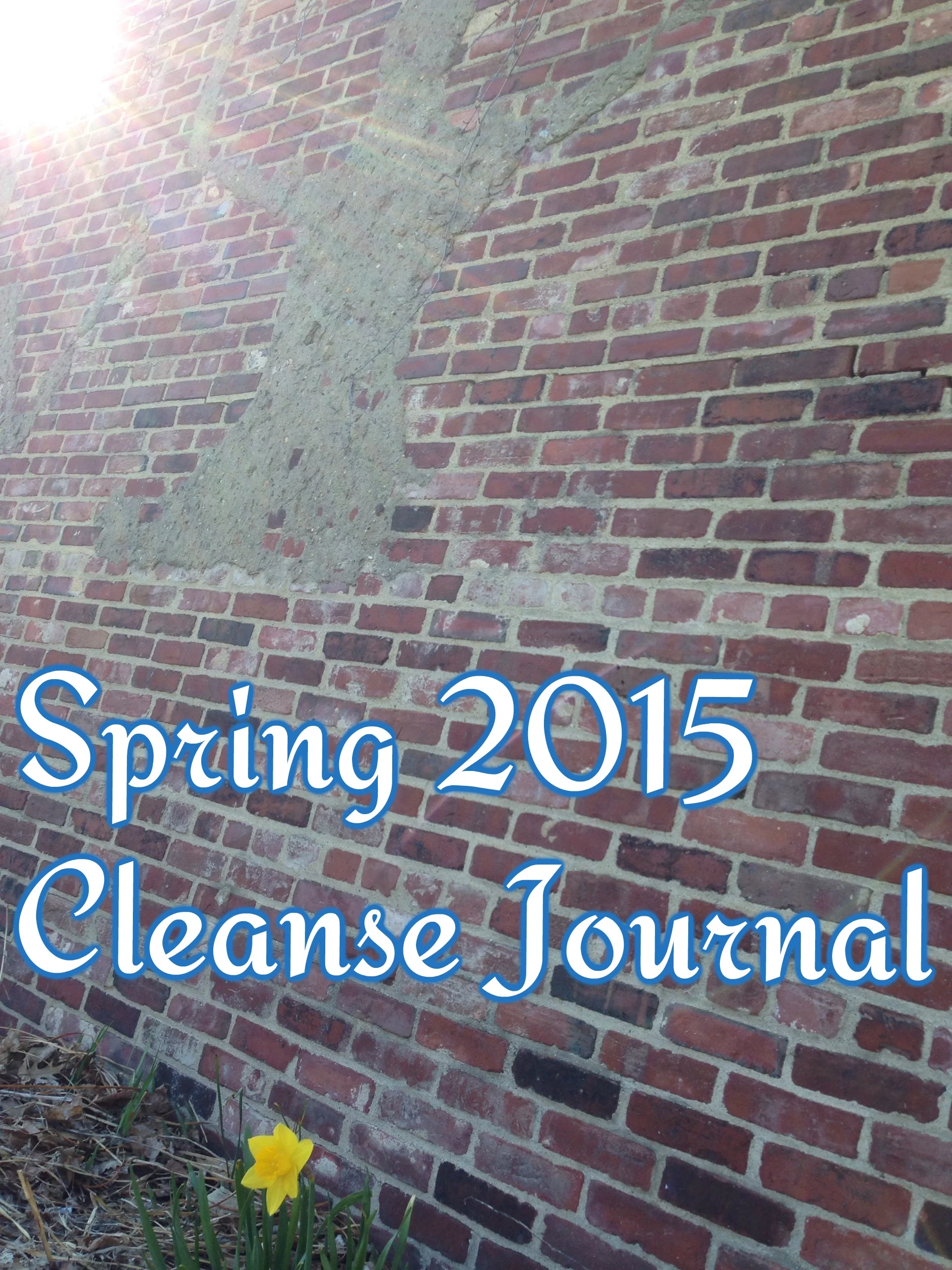 2015-Spring-Cleanse.jpg