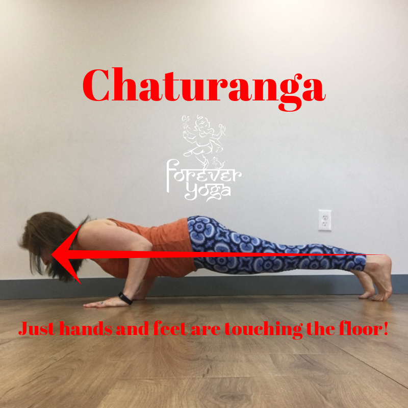 What is Chaturanga, Why Should You Care and How to Get There