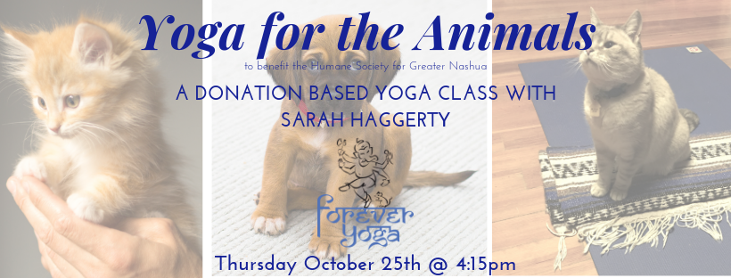 Yoga for the Animals.png