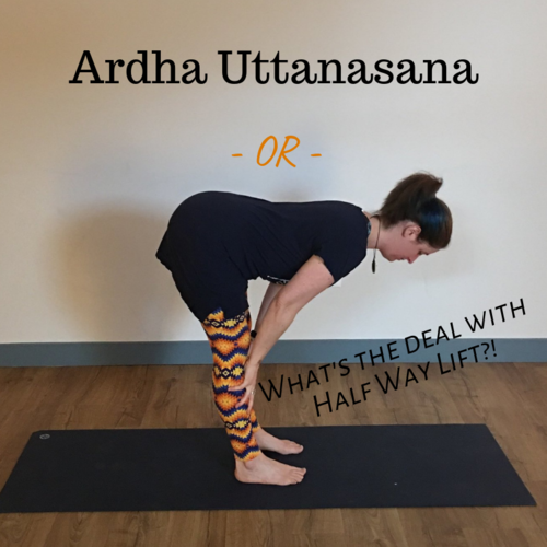 Ardha Uttanasana or What's the Deal with Half Way Lift? — Forever Yoga