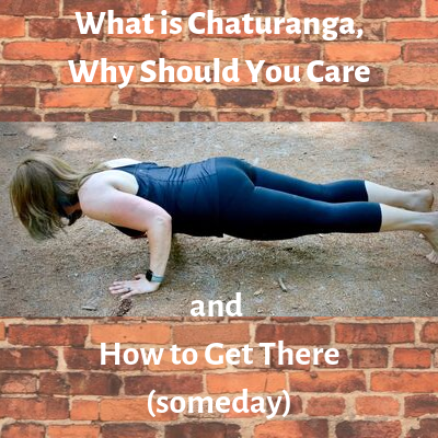 What is Chaturanga, Why Should You Care and How to Get There