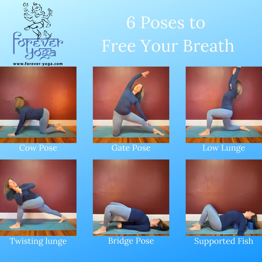 6 poses to free the breath — Forever Yoga