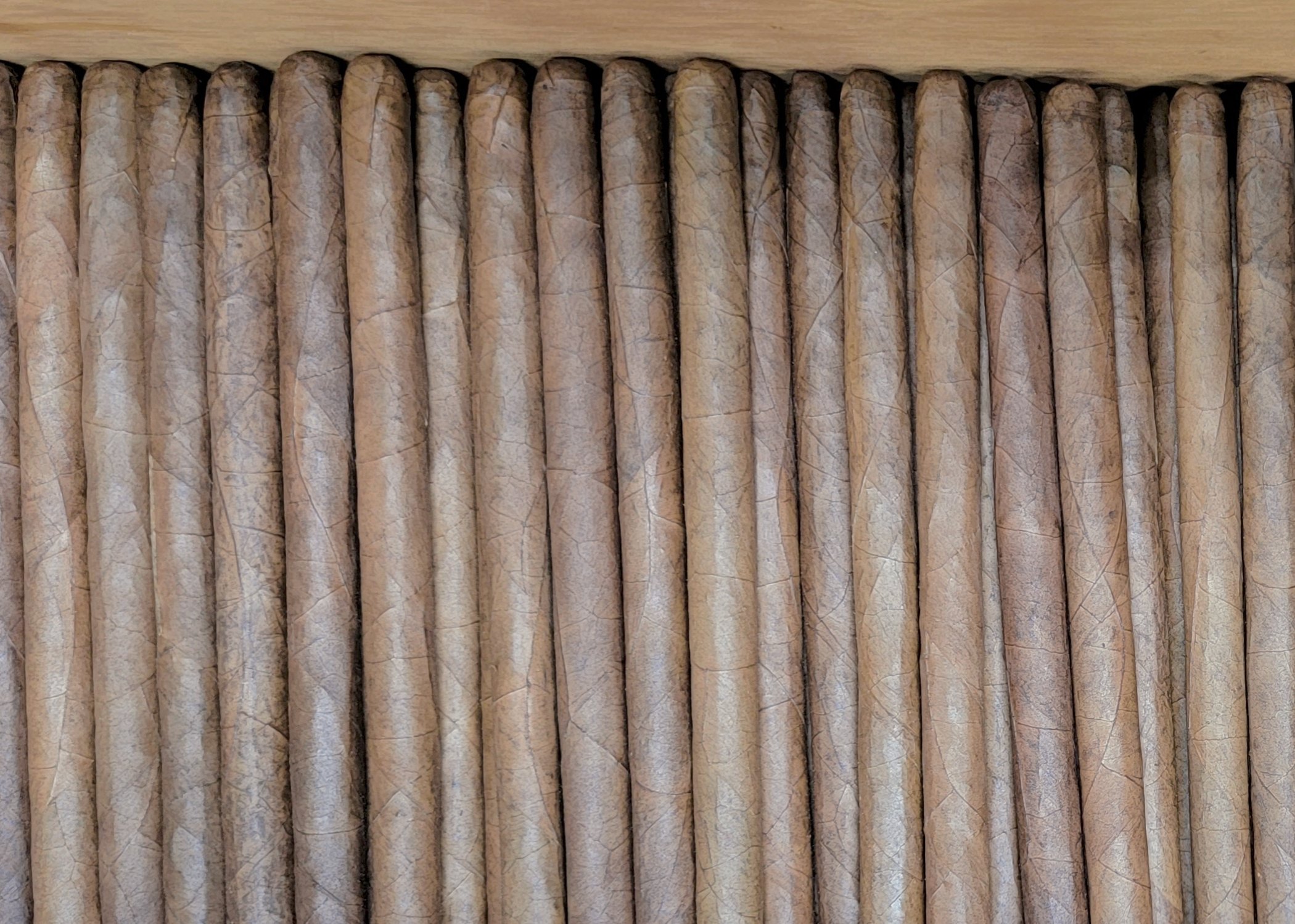 PP Postcard Back.jpg