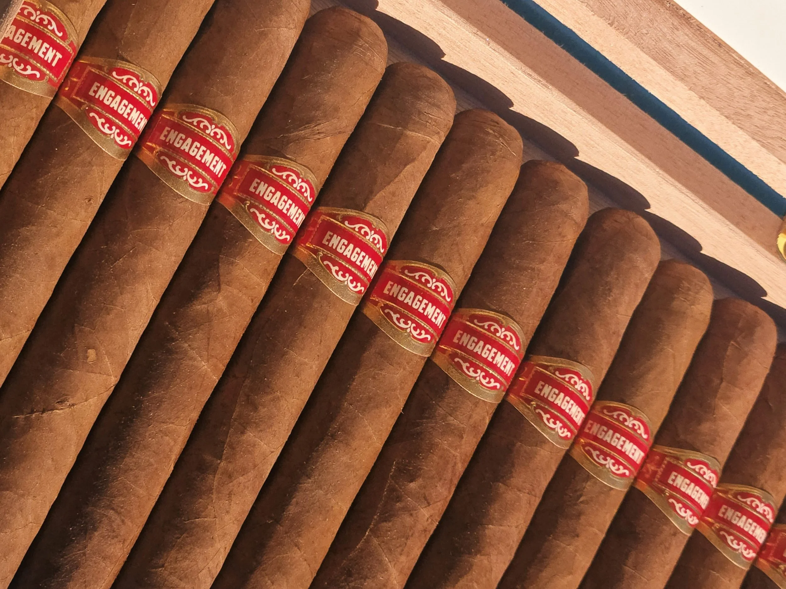 20260228_152104 top.jpg