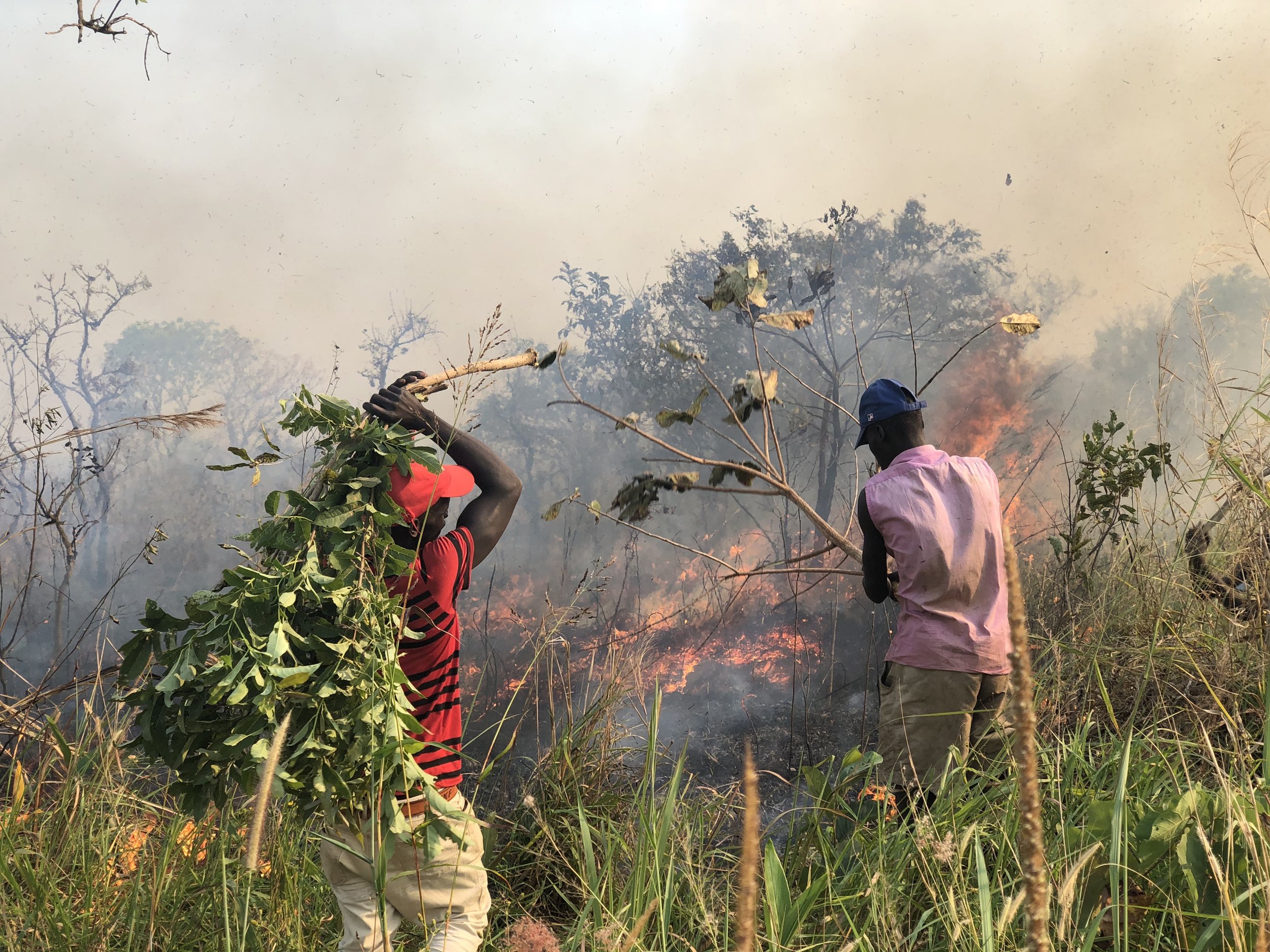 Community neighbors helping to stop the fire after burning the bush grasses for land clearing before the building began