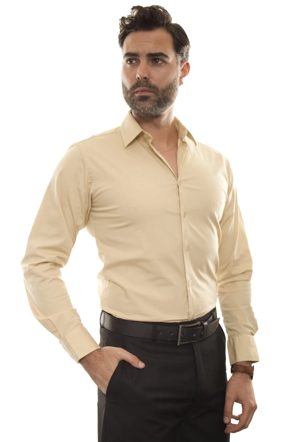 white christmas dresses Tan Men's Formal Silk Solid Long Sleeve Shirt, S