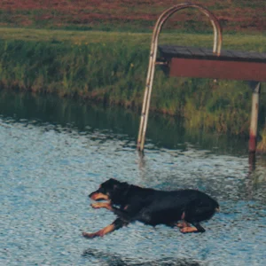 Maggie