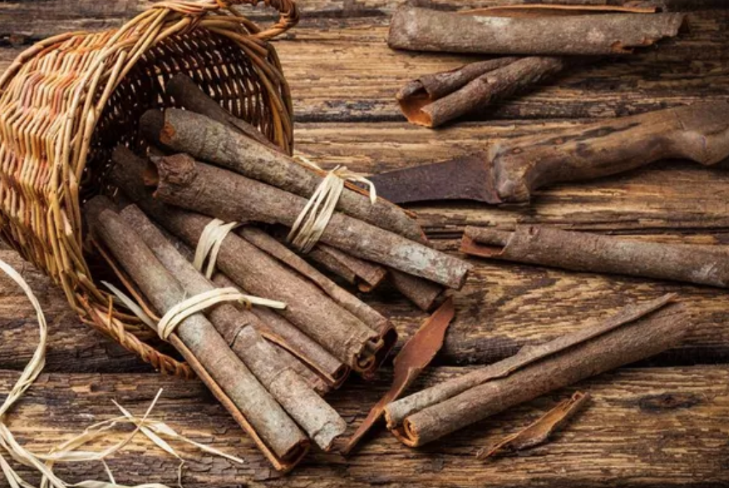 Herb of the Month: Rou Gui 'Cinnamon Bark' 