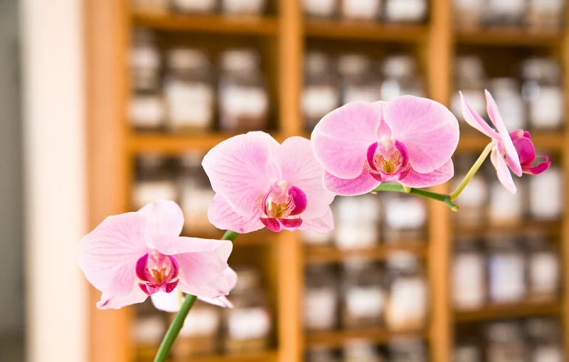 Our doors our closed but we are AVAILABLE  