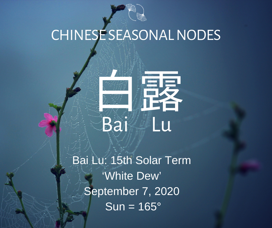 Chinese Nodes: September 2020