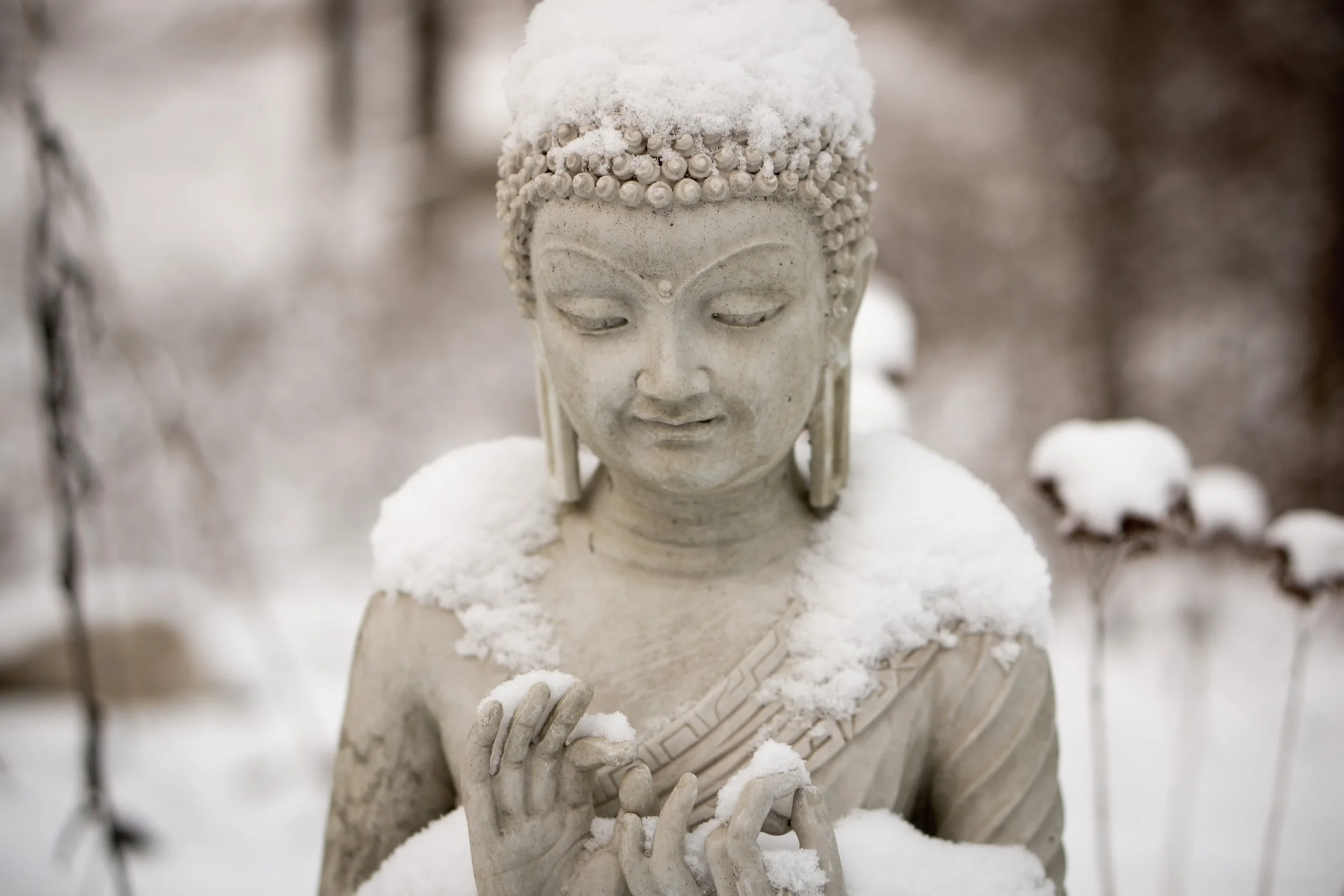 Qigong, Meditation, and Activities for Winter