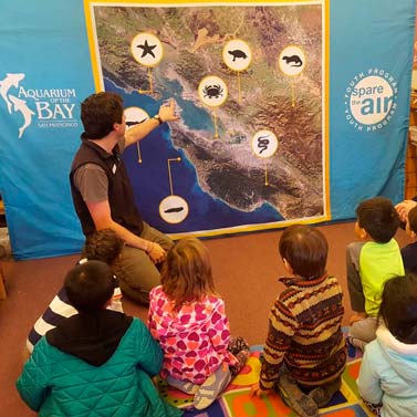 aquarium of the bay