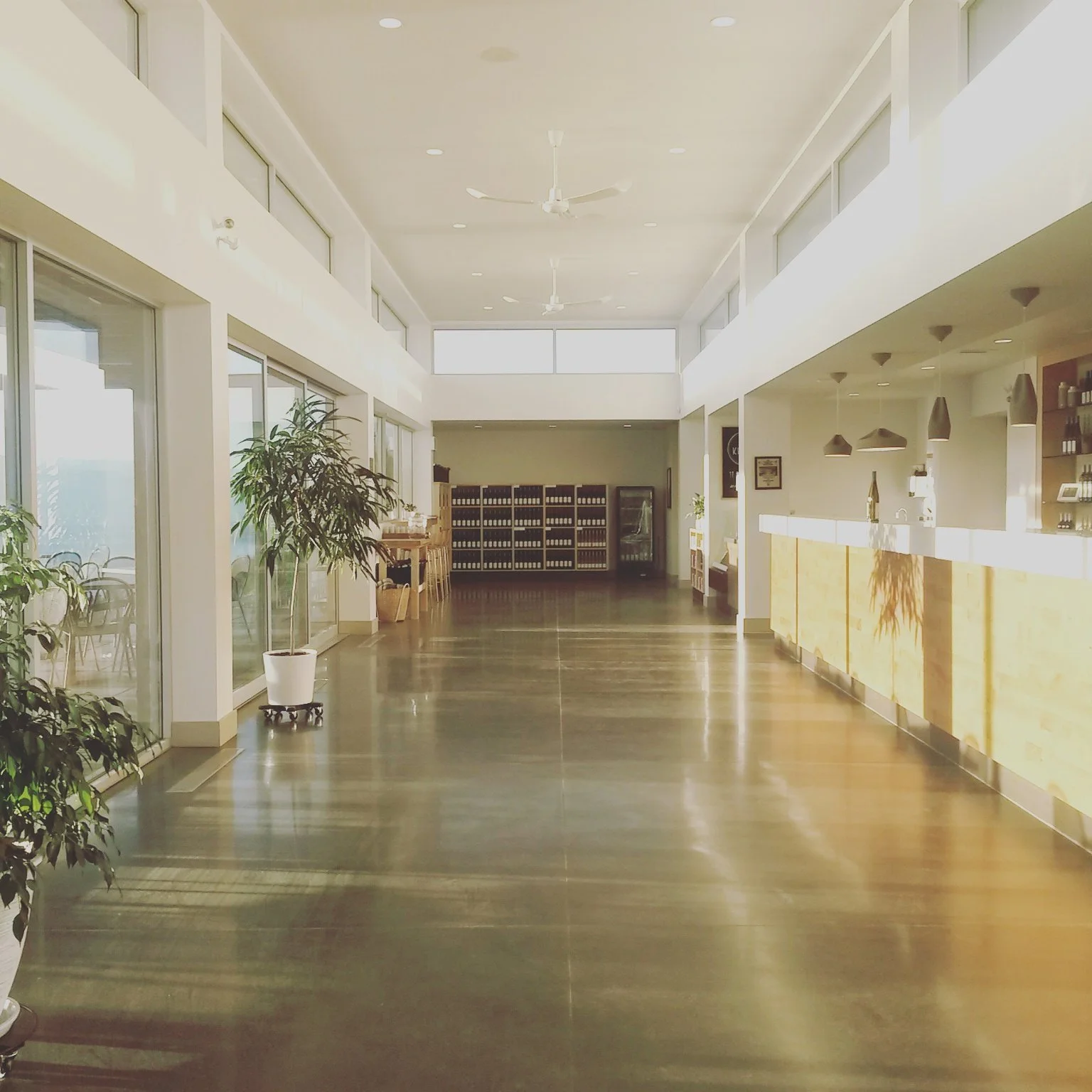 tastingroom.jpg