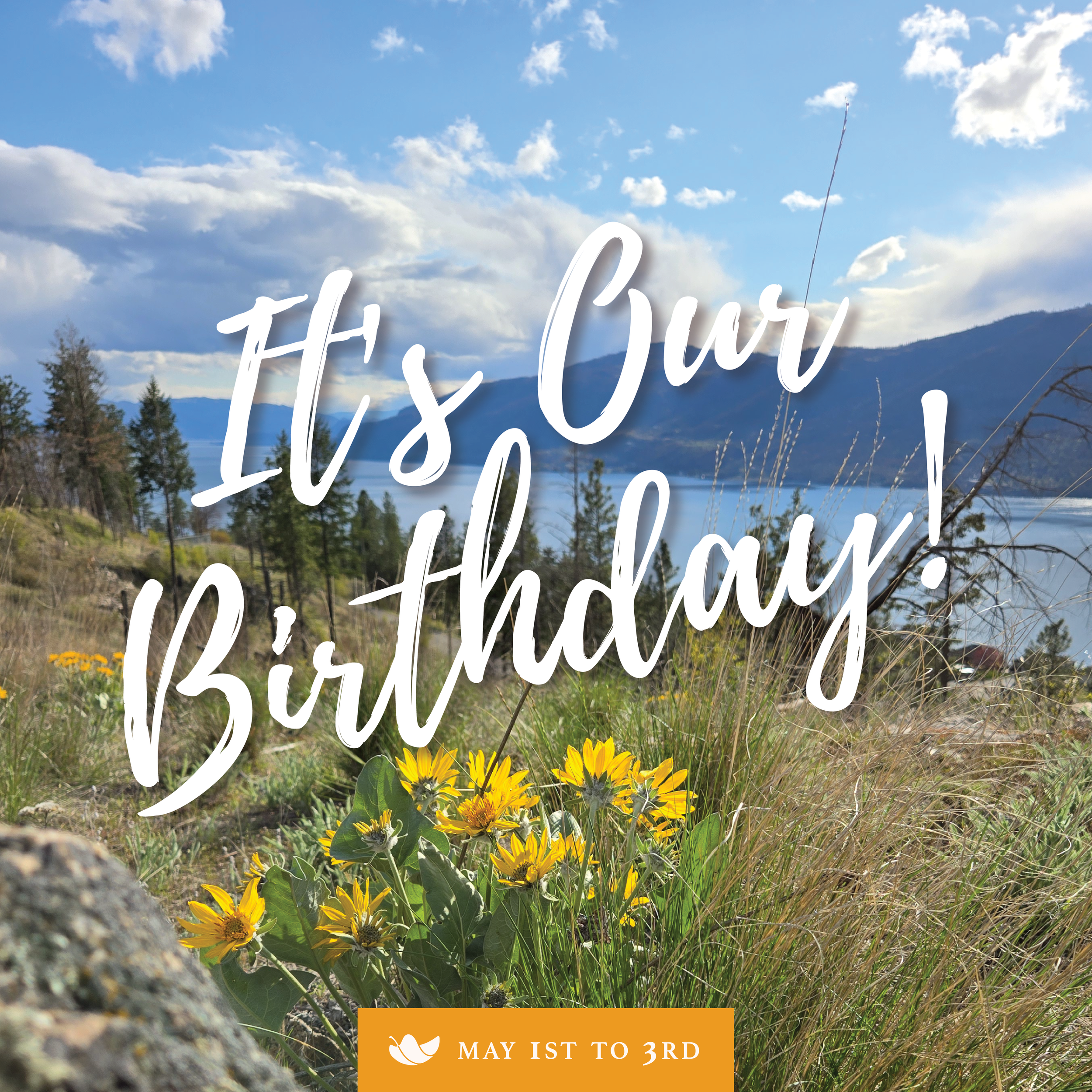 It’s Our 25th Birthday! May 1-3, 2026