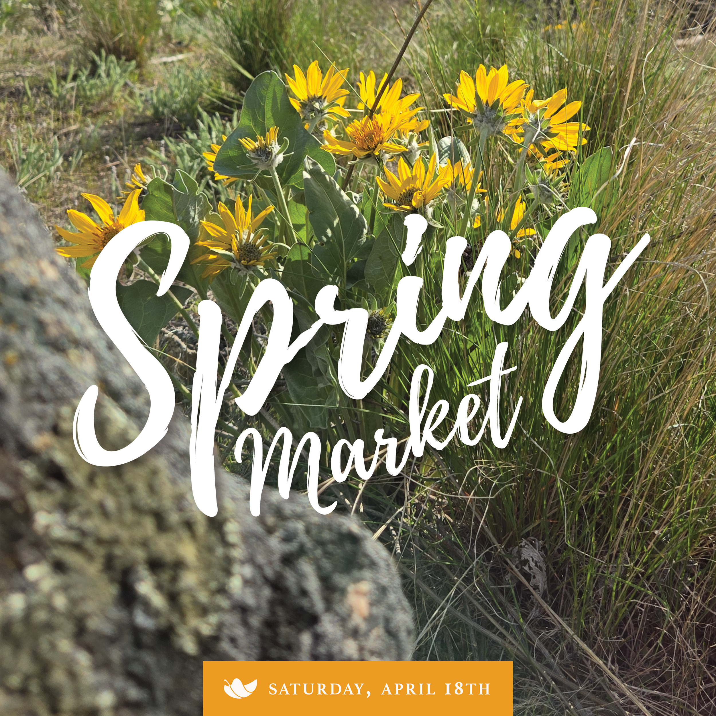Spring Market: April 18, 2026