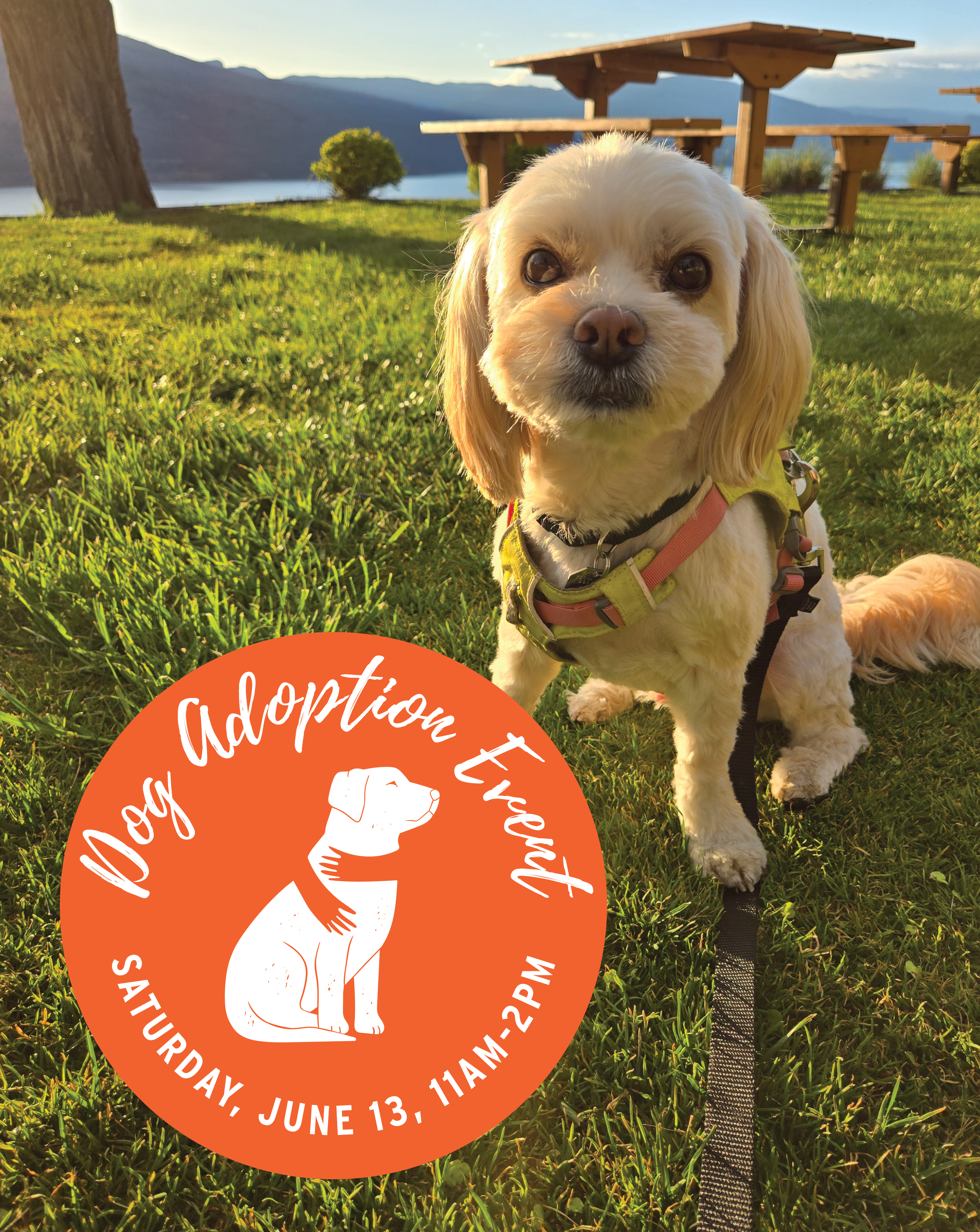 Dog Adoption Event: June 13, 2026