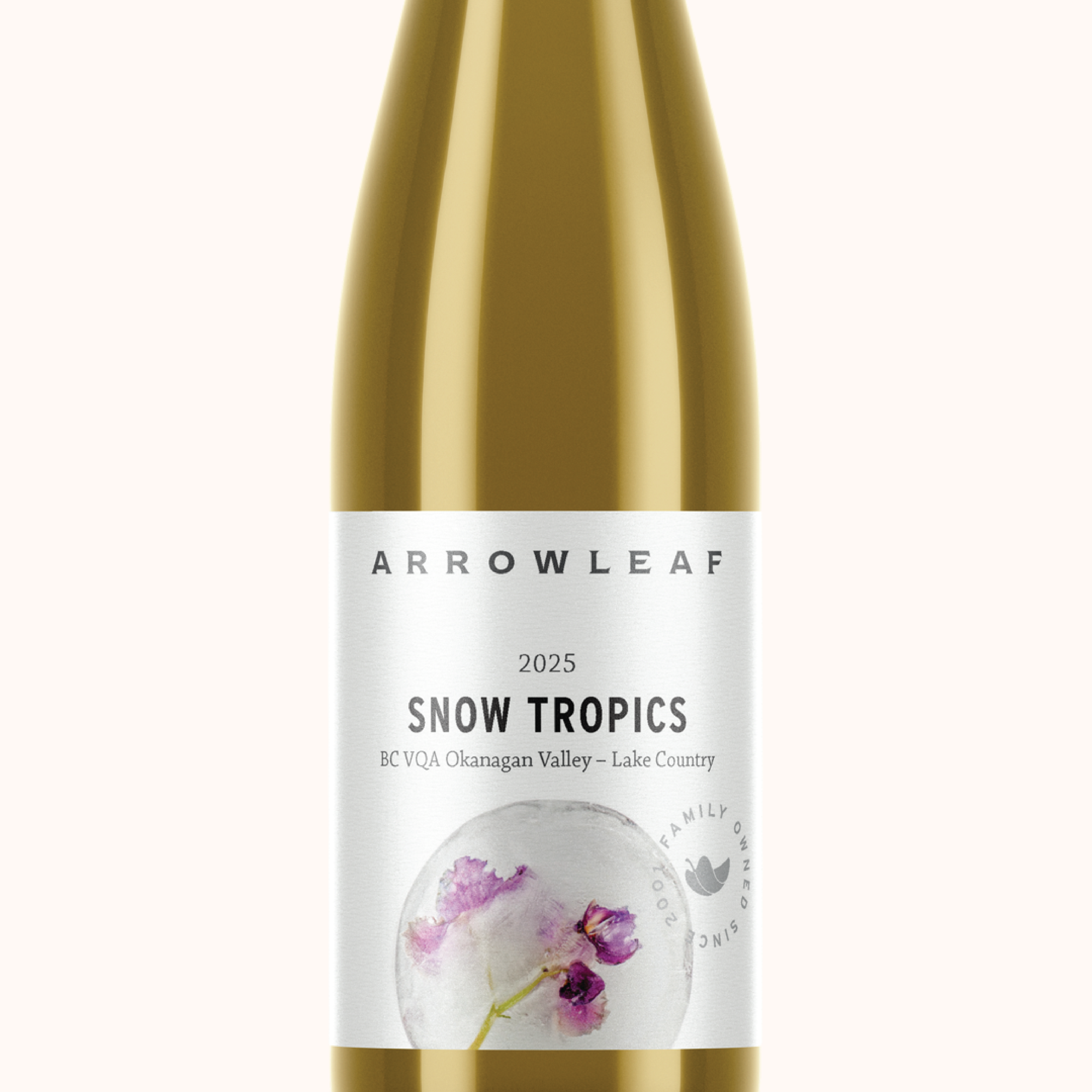 Snow Tropics Returns