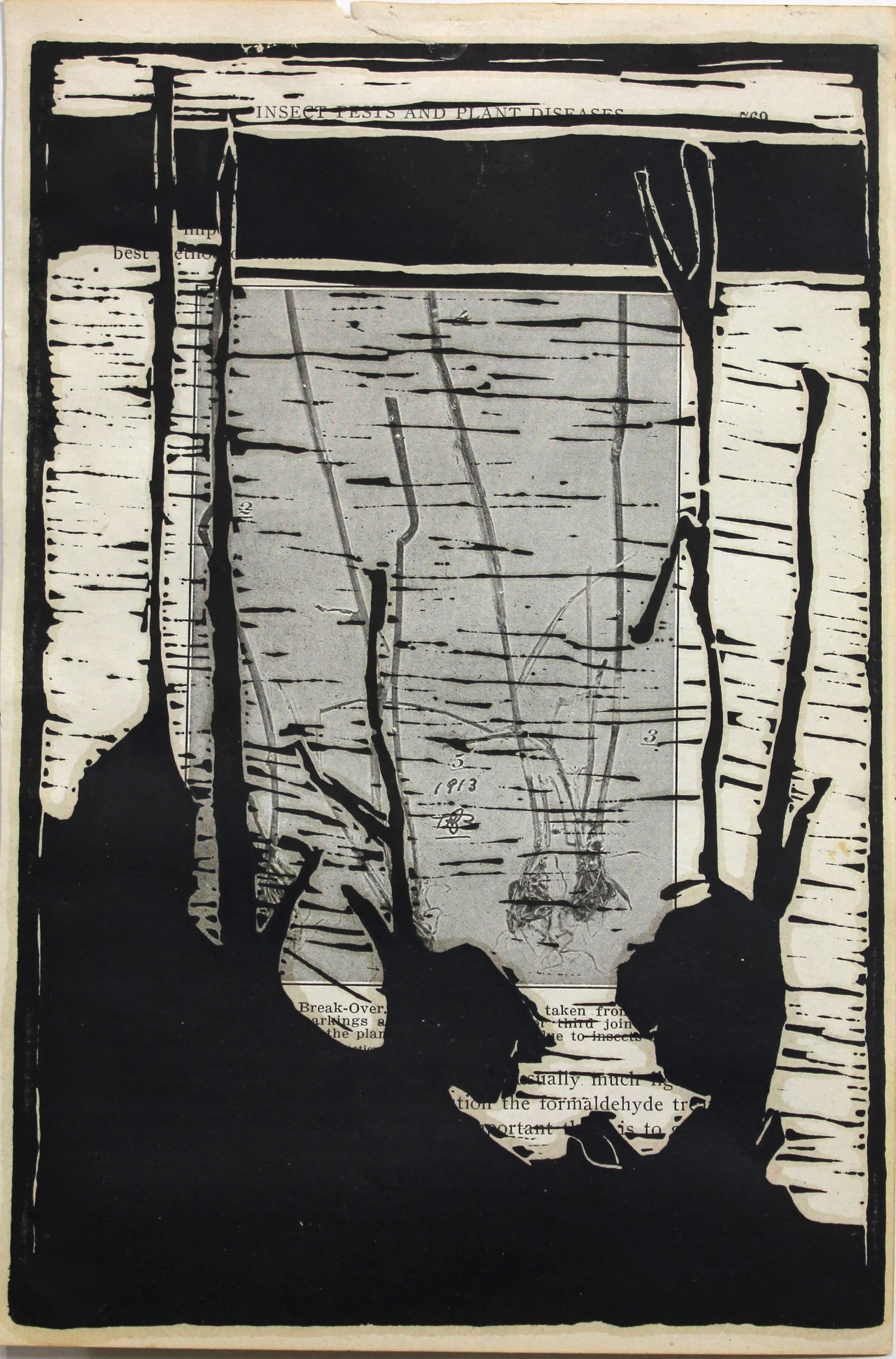   insects, pests   linocut on book page 