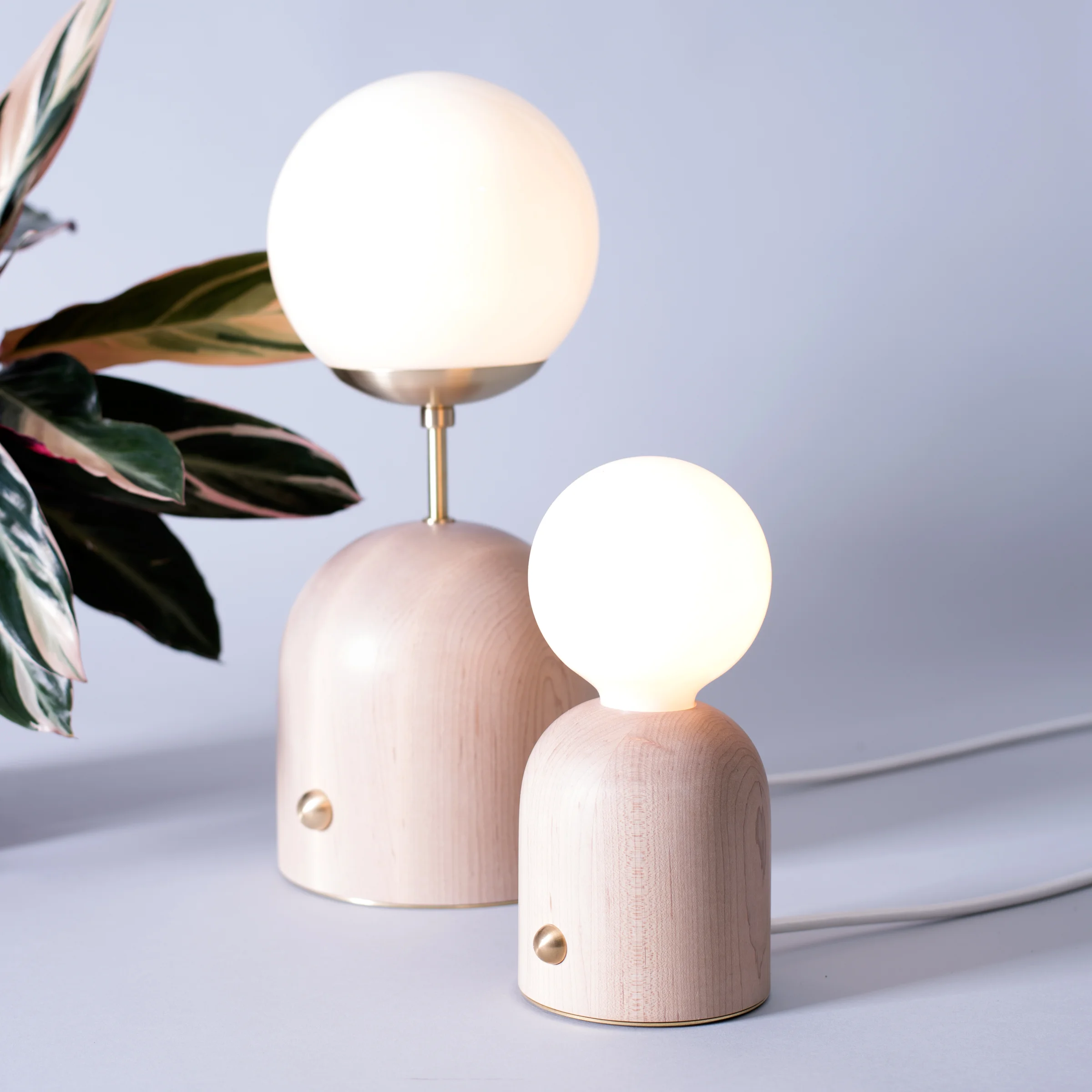 domos_lamps_on_plants1_sq.jpg