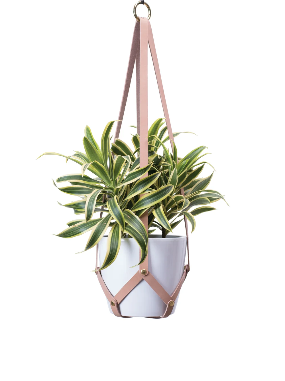 Leather Plant Hanger  Cofield