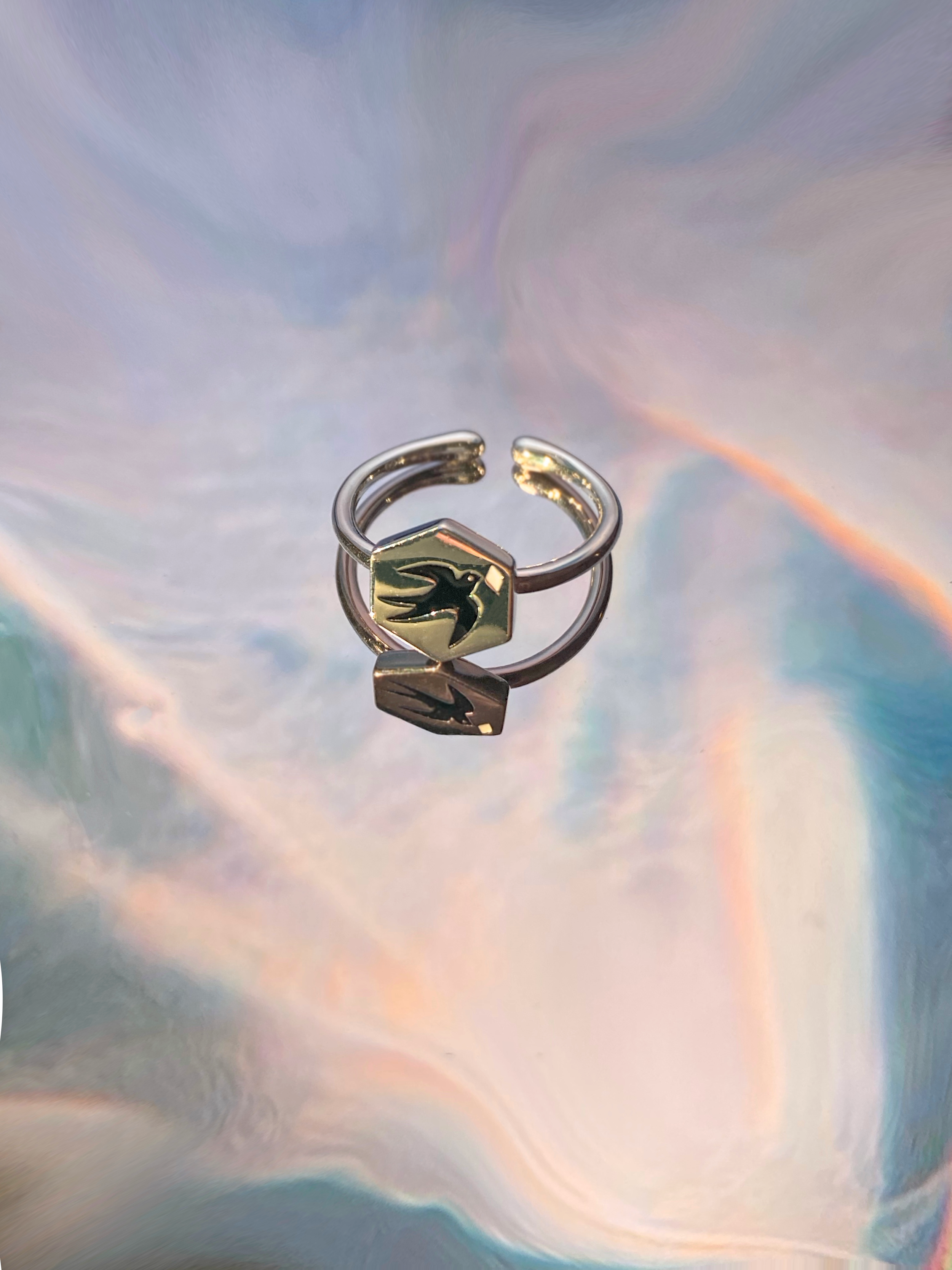 Bird ring.png