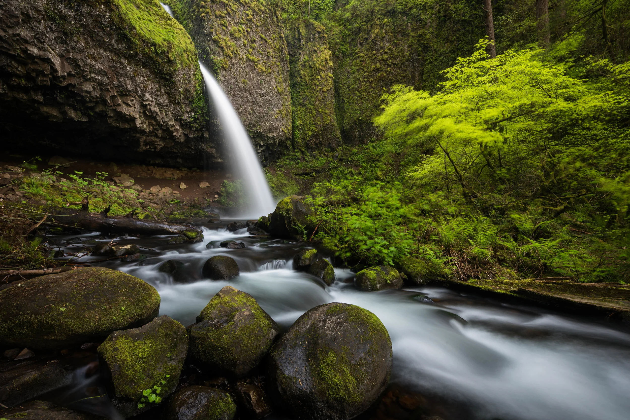 Ponytail Falls Oregon