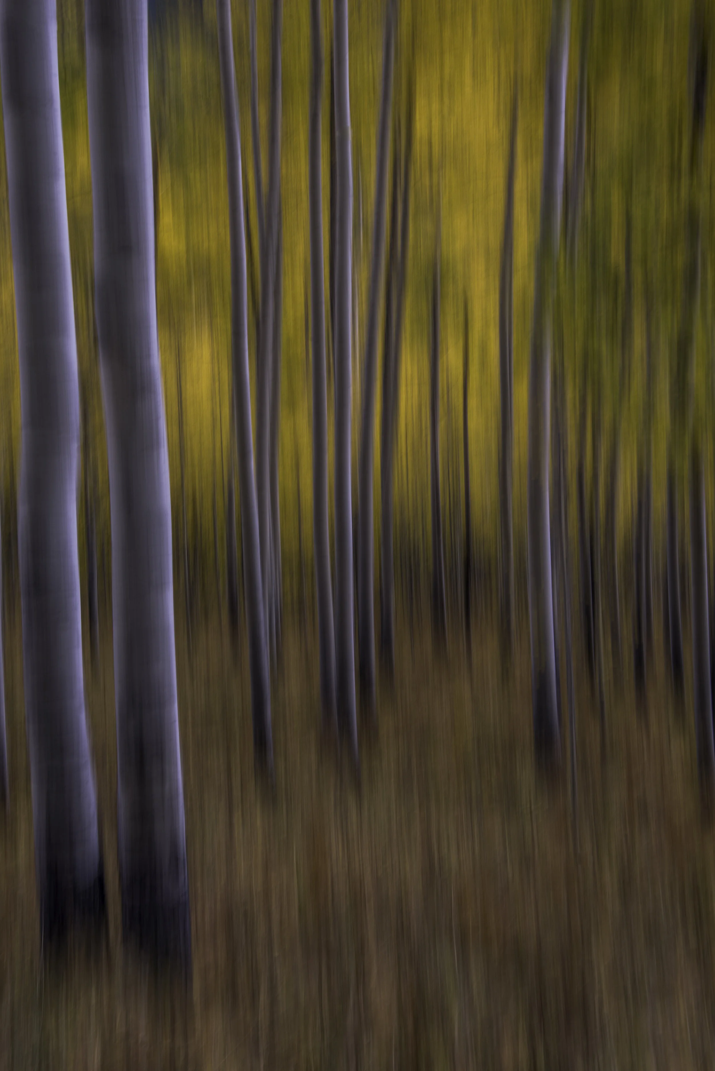 Blurred Vertical.jpg