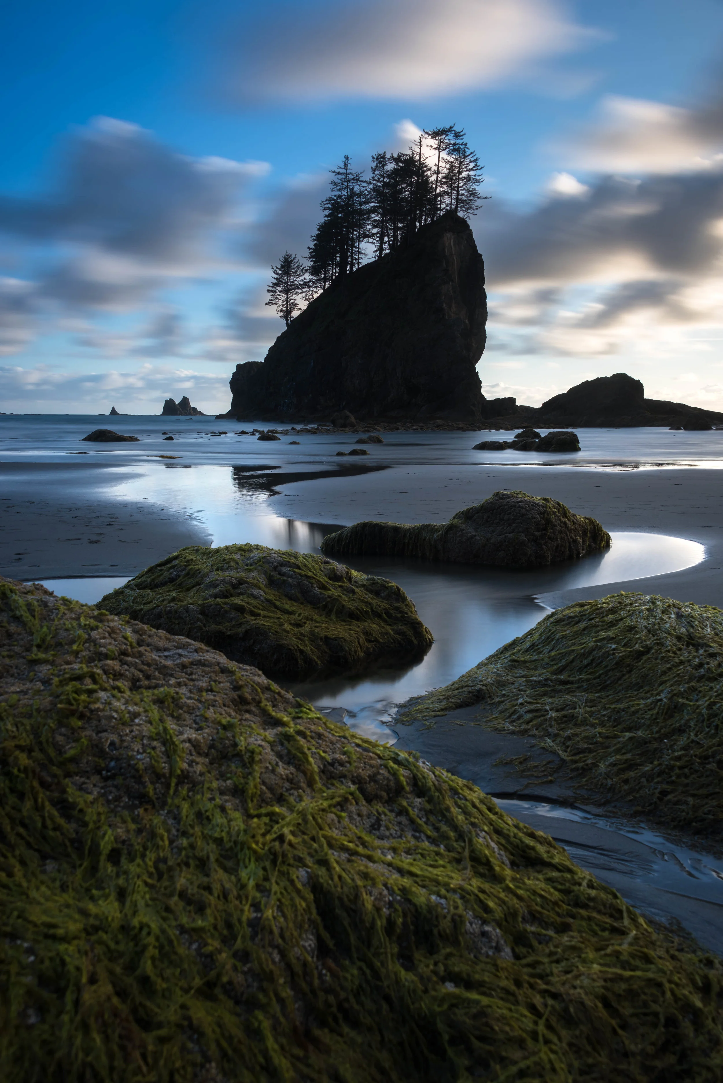 Second Beach Tide Reflection