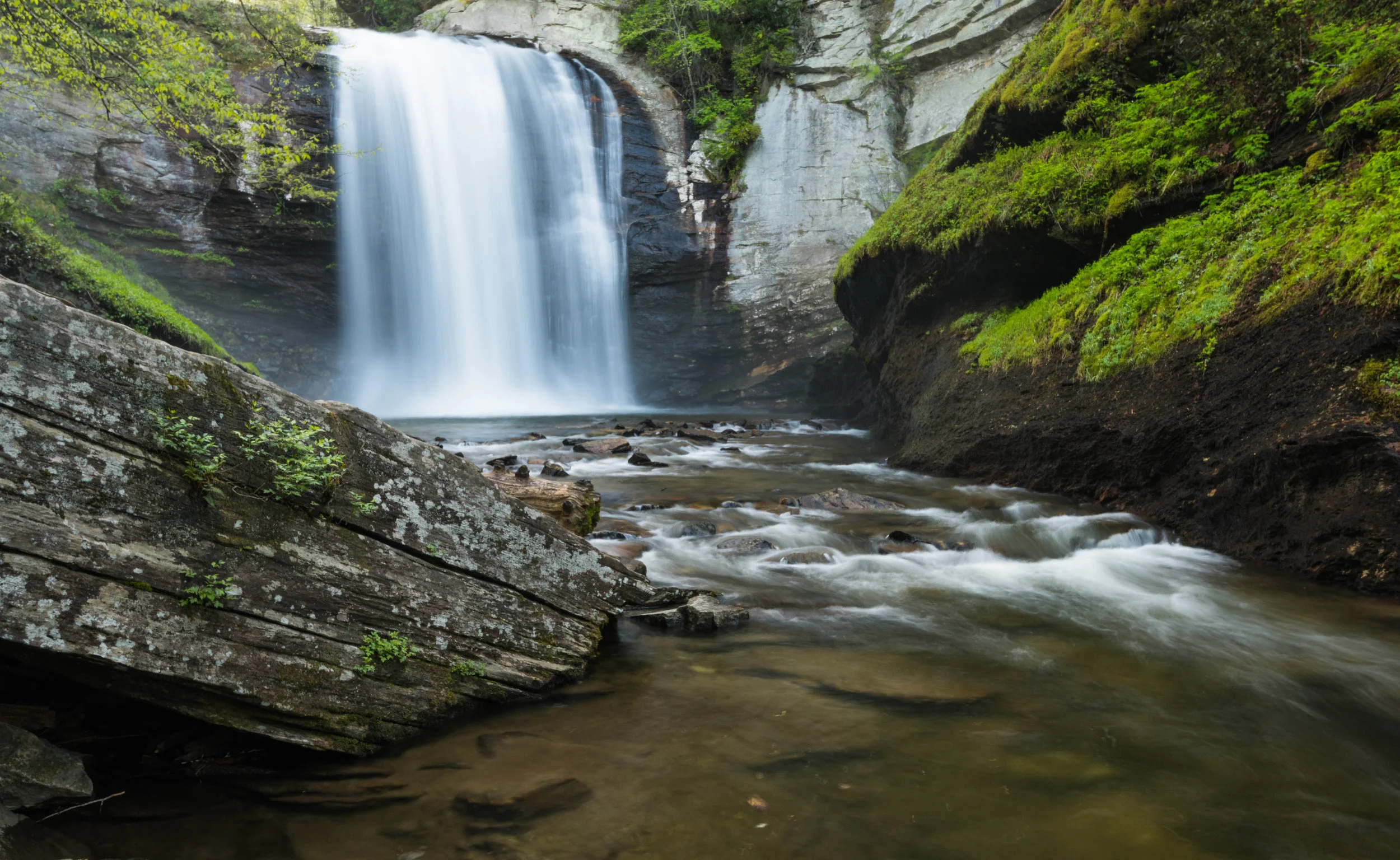 _DSC2877.jpg