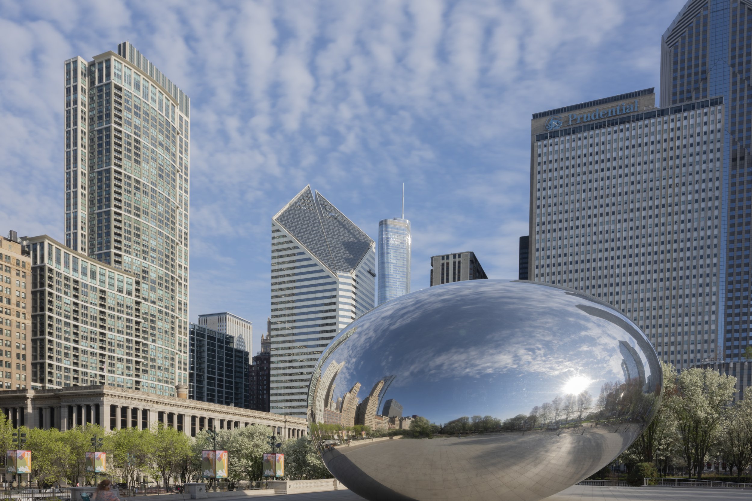Bean Morning Shine