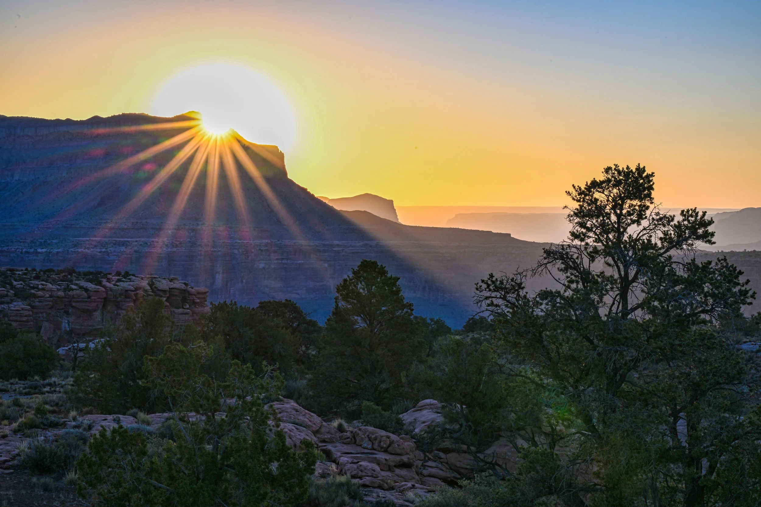 Taroweep Sun Star