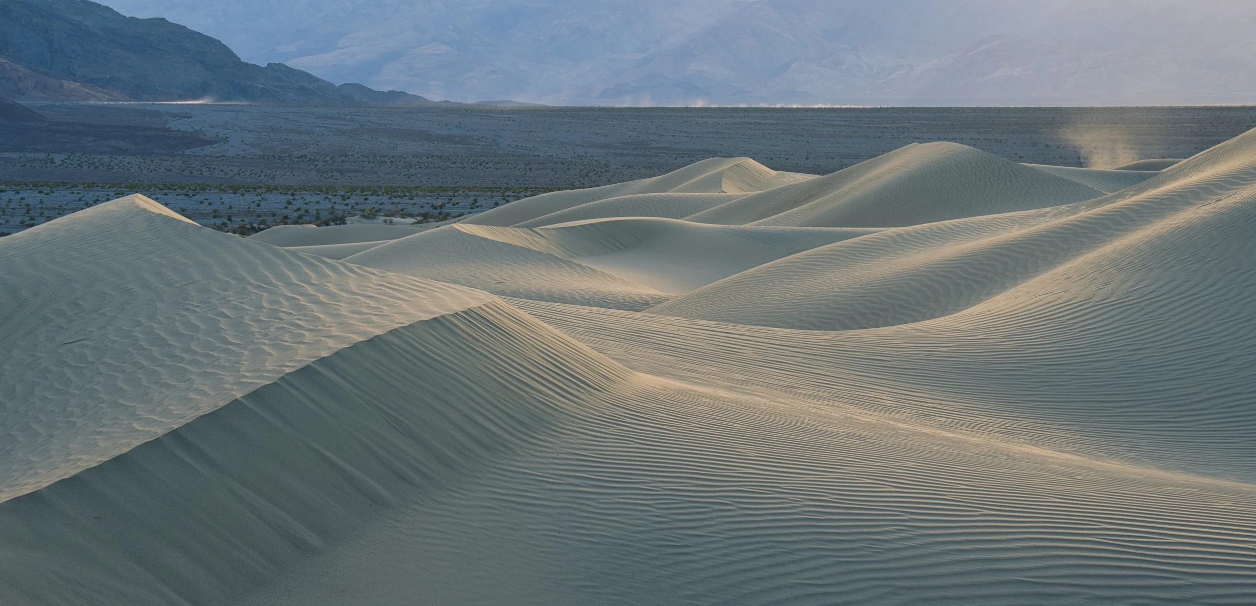Distant Dunes