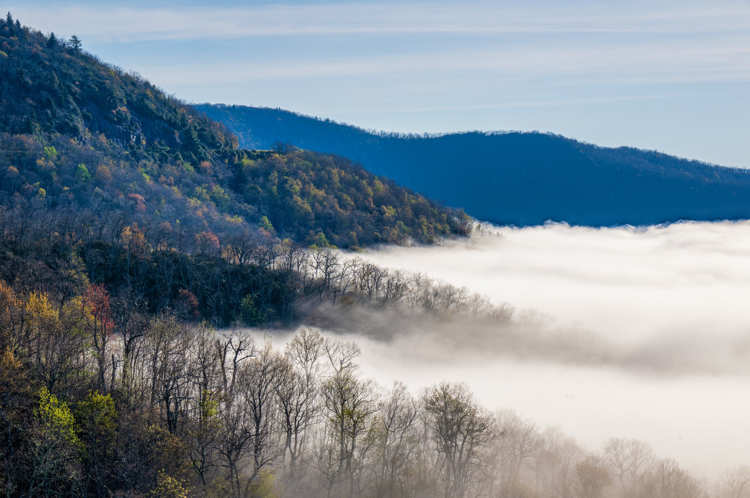 Cotton Layer Morning
