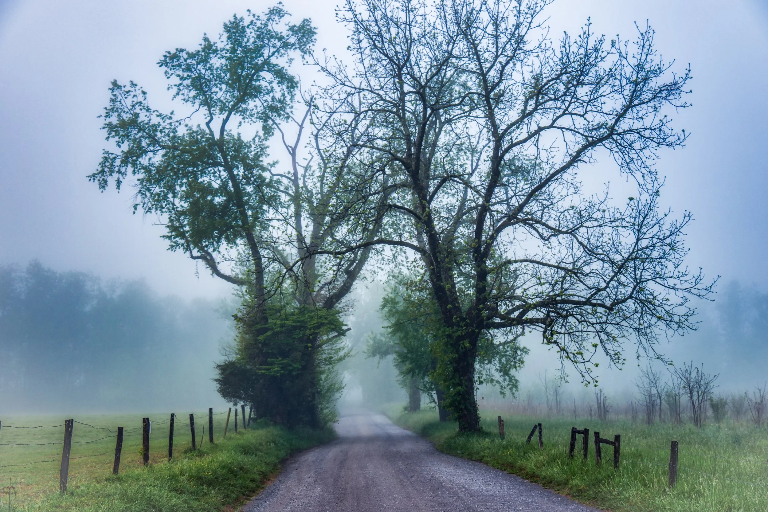 Sparks Lane 1