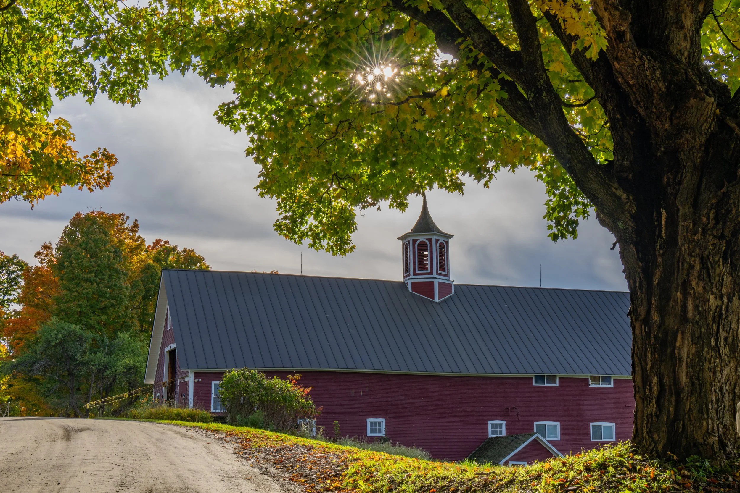 Barn Burst