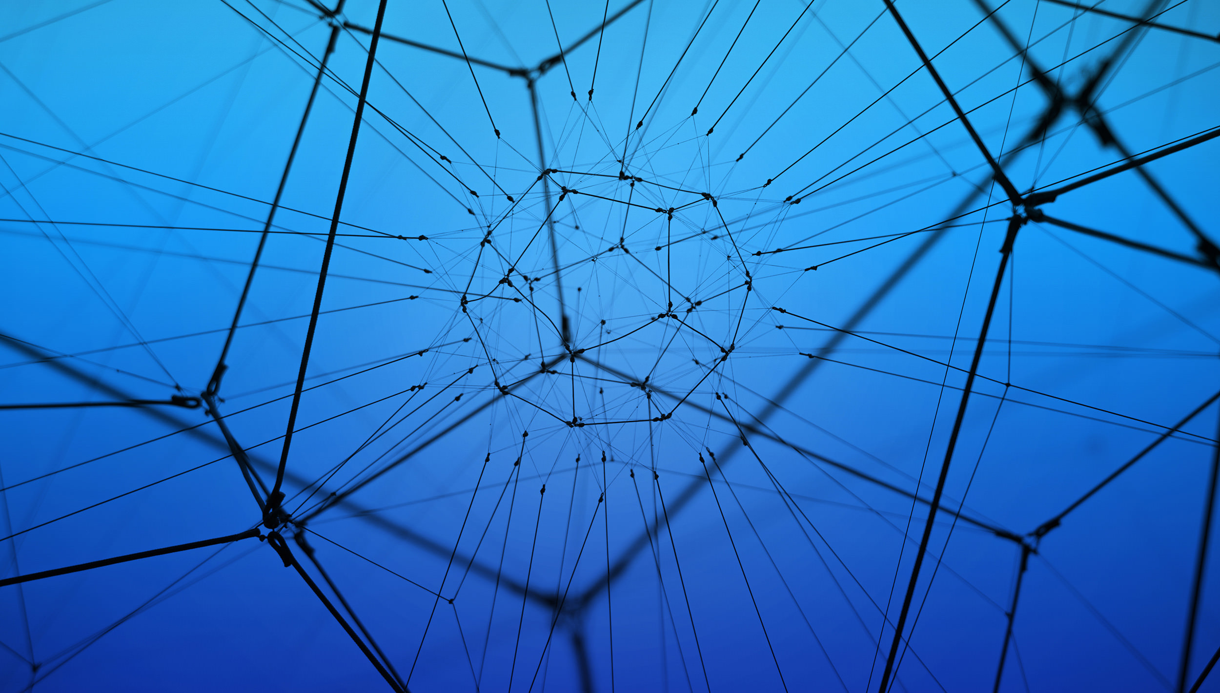 web-sculpture-5.jpg